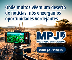 /apidata/imgcache/676934f3b347bb11ac29e12aa7bbf424.jpeg?banner=col4&when=1769946197&who=339